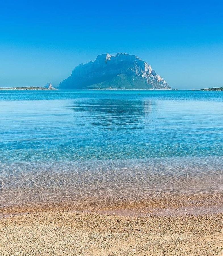 Stella Marys Nord Apartment Olbia Bagian luar foto